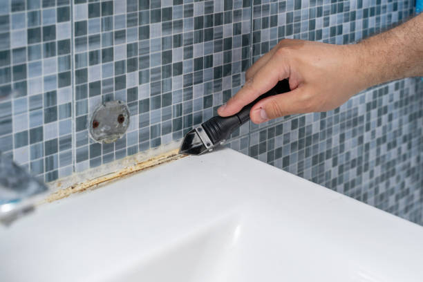 Best Best Mold Removal Companies  in Cannon Beach, OR