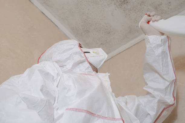Best Mold Testing  in Cannon Beach, OR